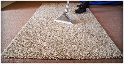 carpet cleaning ipswich reviews